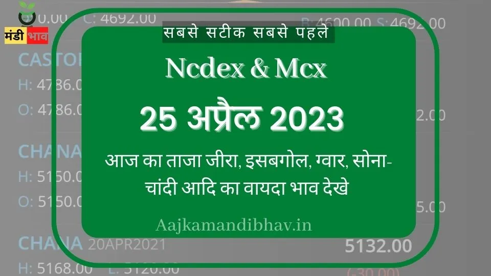 Ncdex & Mcx vayda bajar bhav