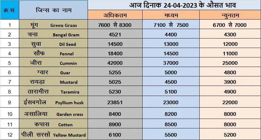 मेड़ता मंडी भाव 24 तारीख 2023