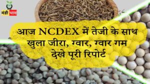 आज NCDEX में तेजी के साथ खुला जीरा ग्वार ग्वार गम देखे