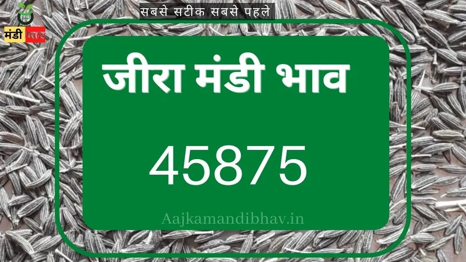 जीरा मंडी भाव 45 हजार