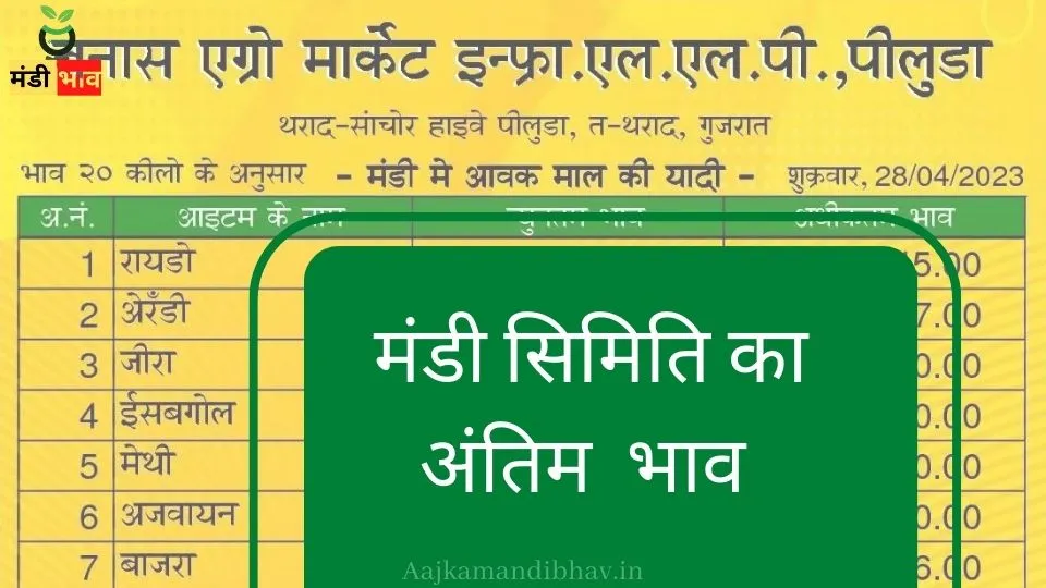 थराद मंडी 28 अप्रैल 2023