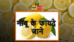 नींबू lemon की खेती