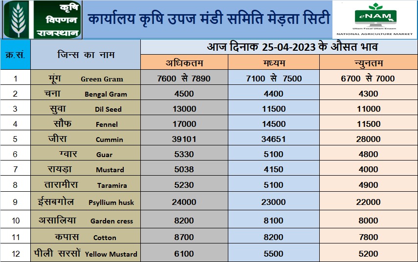 मेड़ता मंडी 25 अप्रिल 2023 का भाव