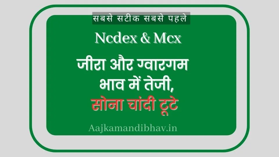 Ncdex & Mcx वायदा बाजार