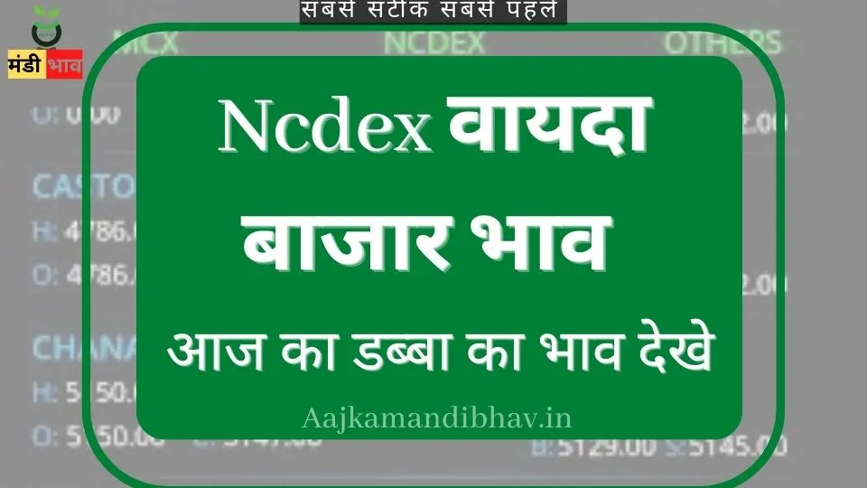 Ncdex वायदा बाजार भाव