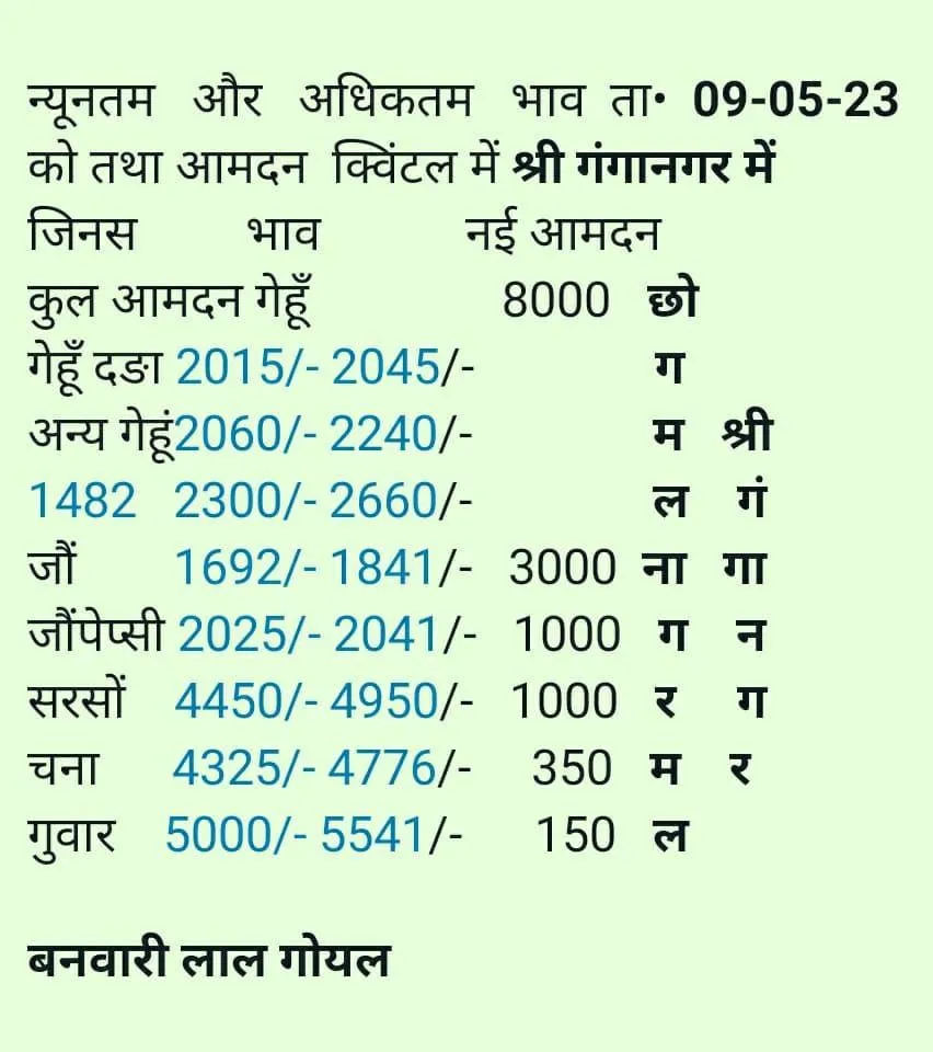 गंगानगर मंडी भाव 09-05- 2023