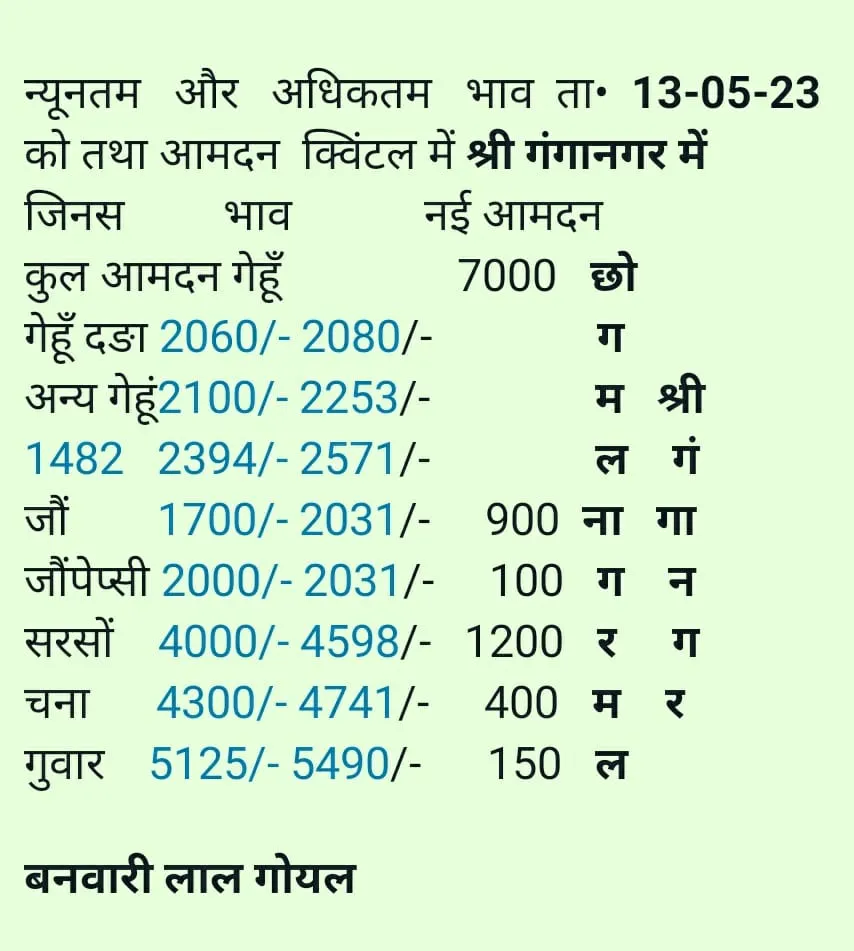 गंगानगर मंडी भाव 13 मई 2023