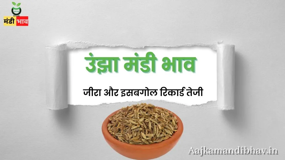 उंझा मंडी भाव