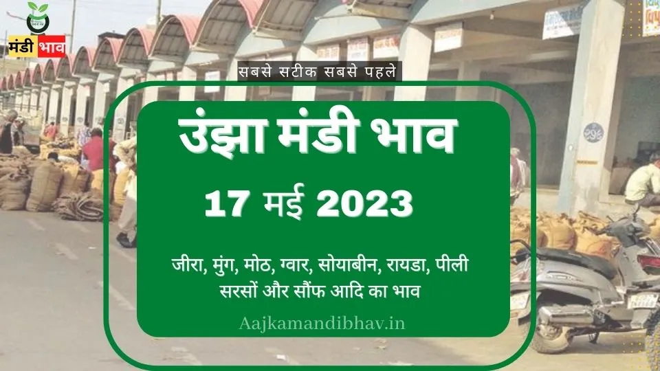 उंझा मंडी भाव 17 मई 2023