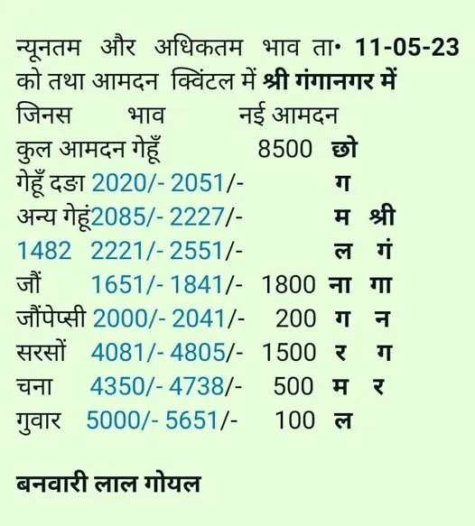 गंगानगर मंडी भाव 11 मई 2023