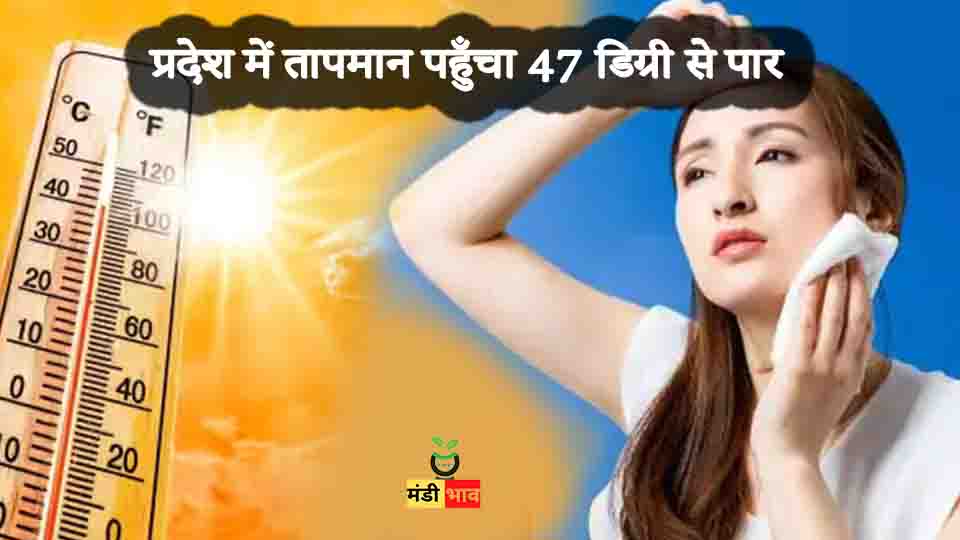 तापमान पहुँचा 47 डिग्री से पार