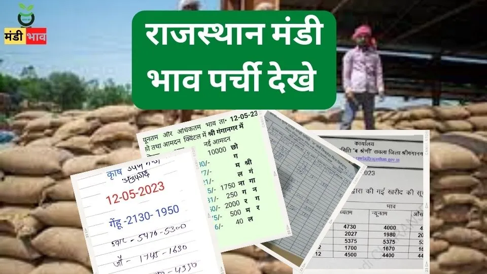 राजस्थान मंडी भाव 12 मई 2023