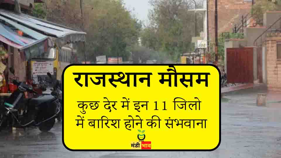 11 जिलो में बारिश होने की संभवाना