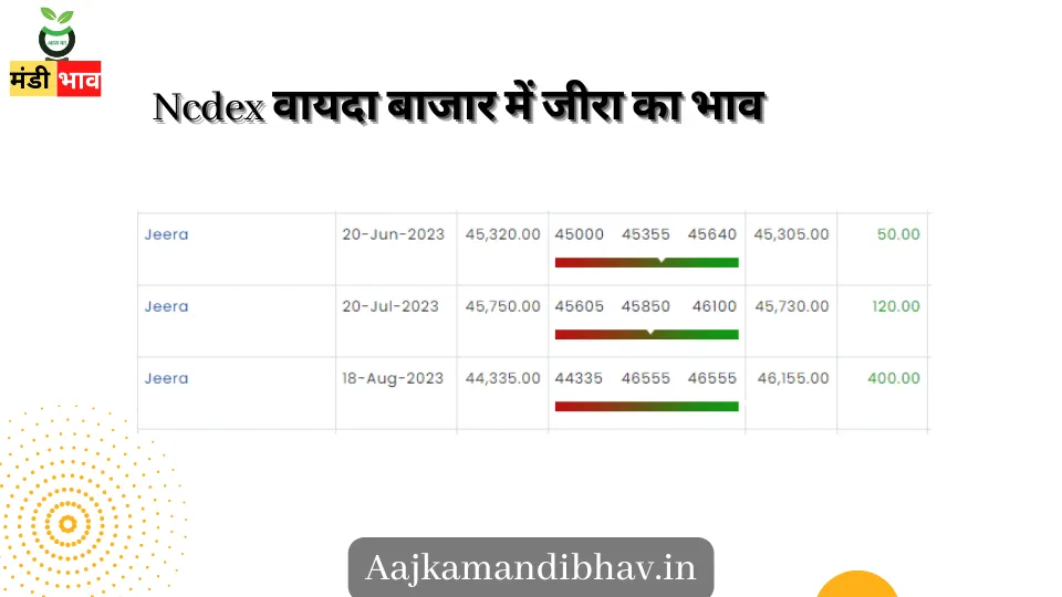 Ncdex वायदा बाजार में जीरा का भाव