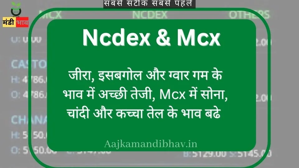 Ncdex वायदा बाजार