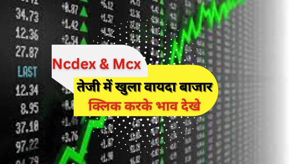 Ncdex Dhaniya Single Target Tips: Ncdex Dhaniya April Fut Sold @ 6732  Target @ 6606 Profit Rs. 12600/- Call @ 81442280… | Oil cake, Refined oil,  Stuffed peppers