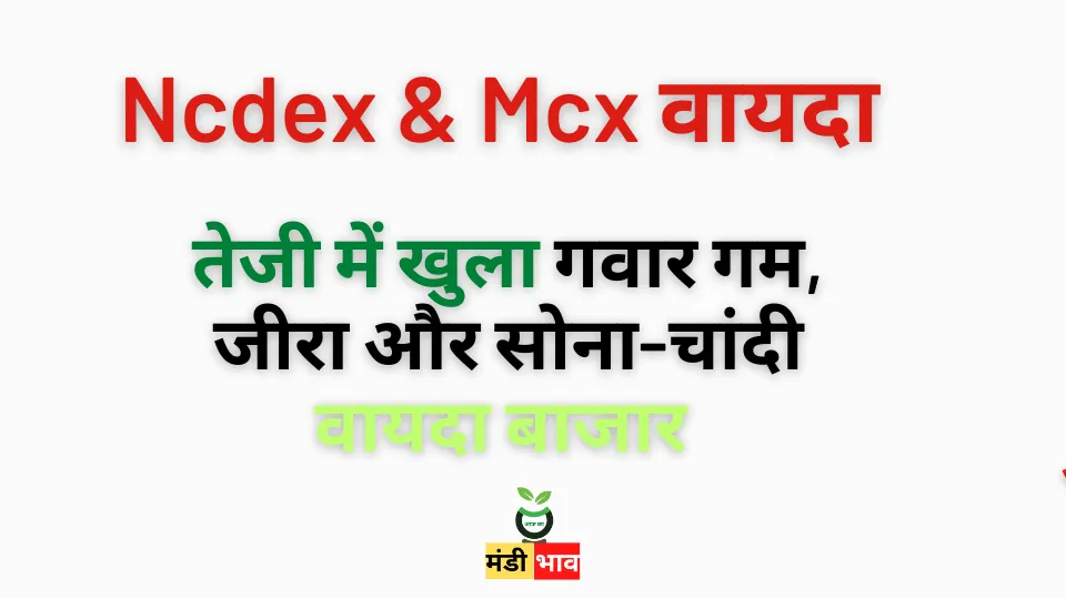 Ncdex & Mcx वायदा